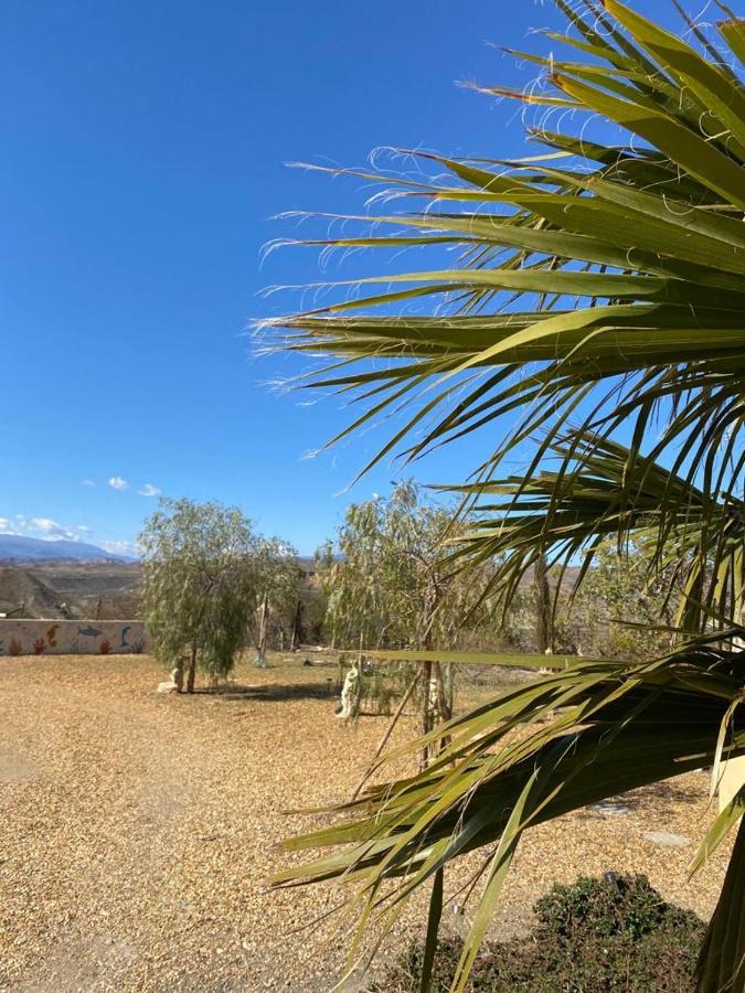 Oasis Montana Peace In Tabernas Desert מראה חיצוני תמונה